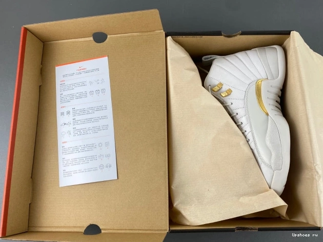 FD9101-007 Phantom  Retro Jordan 12 0101